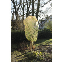 Baum mit Winterschutzhaube und Stammwicklung im Garten