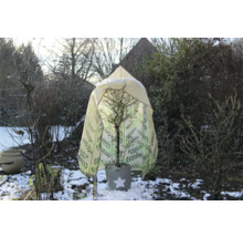 Winterszene mit Pflanze unter Schutzhülle im Garten