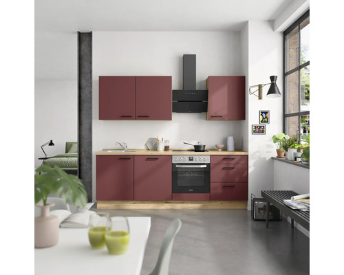 Küche mit Einbauschränken, Dunstabzugshaube und Spüle