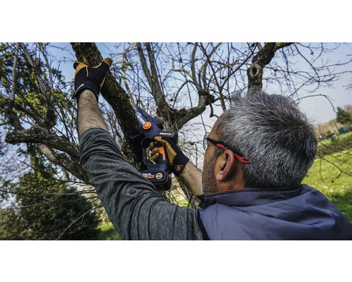 Mann schneidet Baumäste mit einer Akku-Astsäge.