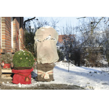 Winterschutzvlies Spatzen Vintage Videx 110 x 110cm 50g/m² sandbeige