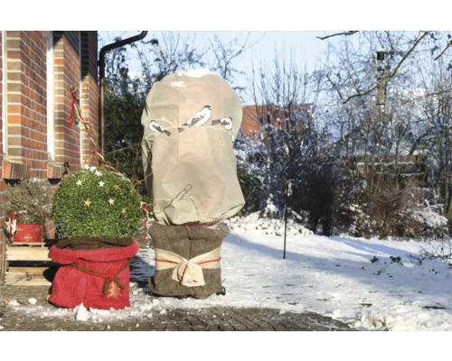 Winterlandschaft mit geschützten Pflanzen im Garten.