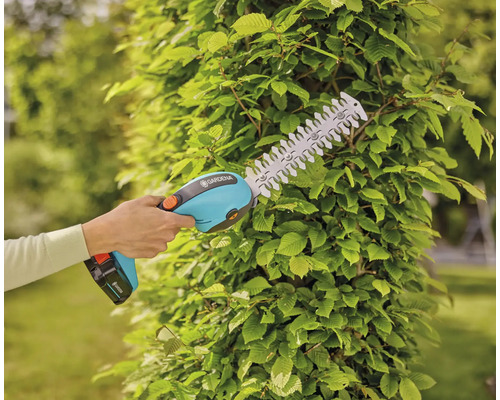 Gardena Akku-Heckenschere im Einsatz an einer Hecke