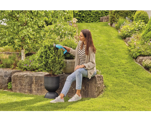 Frau schneidet Buchsbaumkugel mit einer Akku-Grasschere im Garten
