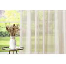 Szene mit Vorhang, Tisch und Vase mit Trockenblumen