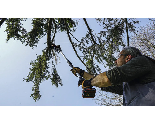 Mann schneidet Baumäste mit einer Akku-Astsäge