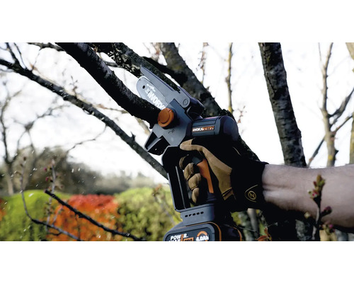 Eine Person benutzt eine Akku-Astsäge von Worx zum Beschneiden eines Baumes.