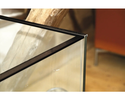 Detailansicht eines Aquariums mit Glaswänden und einem Rahmen