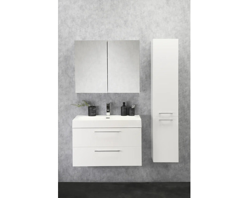 Badezimmer mit Waschbeckenunterschrank, Spiegelschrank und Hochschrank