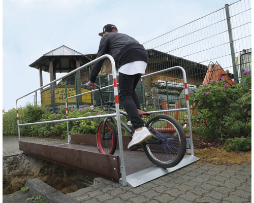 Eine Person fährt mit einem Fahrrad über eine Brücke mit Geländer.
