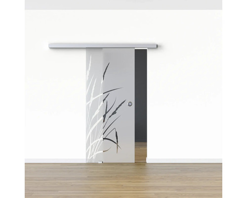 Schiebetür aus Glas mit Gräser-Motiv vor weisser Wand