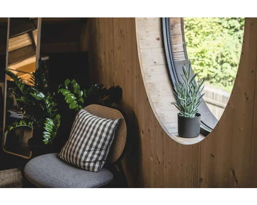 Einrichtungsecke mit Stuhl, Kissen, Zimmerpflanzen und rundem Fenster in einem Holzraum