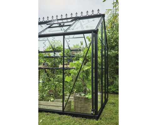 Gewächshaus mit Pflanzen und Regalen im Garten.