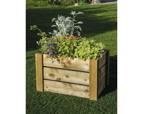 Holzblumenkasten mit verschiedenen Pflanzen im Garten.
