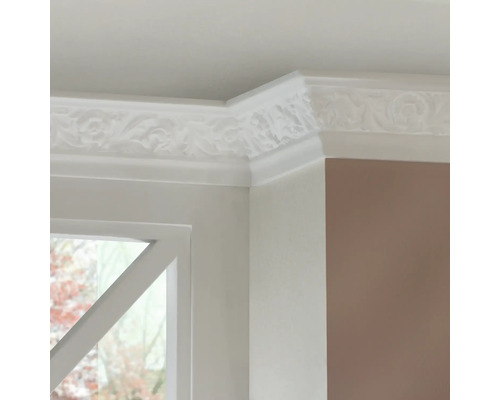 Detailaufnahme einer Deckenleiste mit floralem Muster an der Ecke eines Raumes.