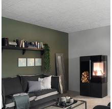 Wohnzimmer mit Deckenelementen, Sofa, Regal und Kaminofen