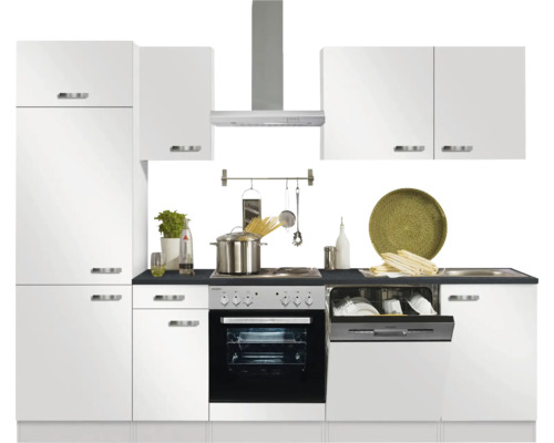 Komplette Küche mit Spüle, Geschirrspüler, Herd und Dunstabzugshaube