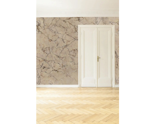 Heller Raum mit Marmortapete, Doppeltür und Parkettboden.