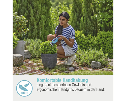 Eine Frau schneidet mit einer Akku-Strauchschere einen Buchsbaum im Garten.