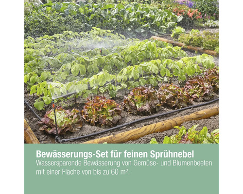 Gemüse- und Blumenbeetbewässerung mit Sprühnebelsystem