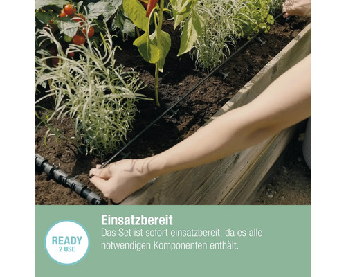 Installation einer Bewässerungsanlage im Hochbeet mit verschiedenen Pflanzen