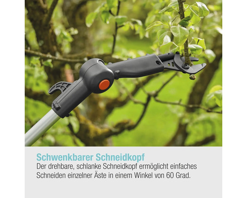 Astschere mit drehbarem Schneidkopf beim Schneiden eines Astes