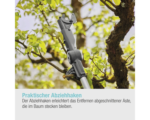 Asthaken zur Entfernung abgeschnittener Äste aus dem Baum
