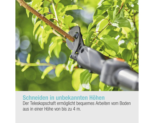 Teleskop-Astschere schneidet einen Ast