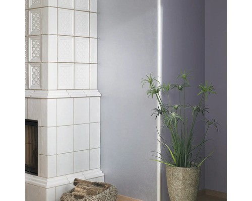 Gekachelter Kamin mit Holzkorb und Zimmerpflanze