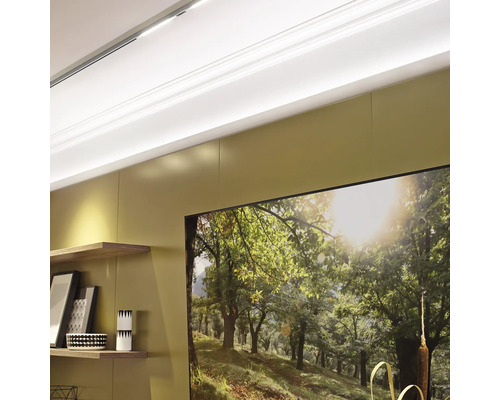 Wandgestaltung mit Paneelen, Regalen und einem Bild mit Waldmotiv.