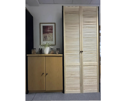 Szene mit einem kleinen Schrank, dekoriert mit einer Pflanze, und einer zweiflügeligen Lamellentür.