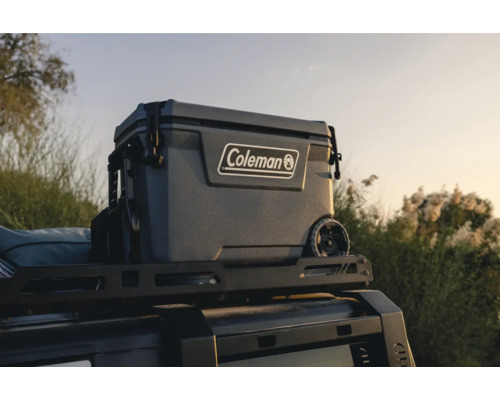 Coleman Logo Kühlbox auf dem Dach eines Autos