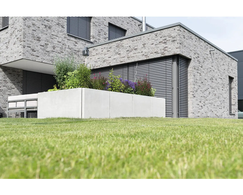 Beton-Pflanzkasten mit verschiedenen Pflanzen auf Rasen vor einem Haus
