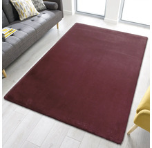 Rechteckiger, hochfloriger Teppich in einem Wohnzimmer mit Sofa