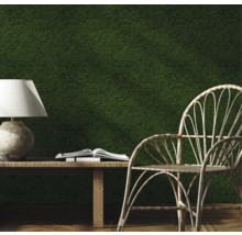 Dekoratives Interieur mit Mooswand, Tisch, Lampe, Buch und Stuhl