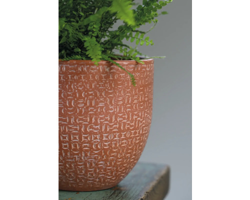 Blumentopf aus Terrakotta mit Muster und Pflanze