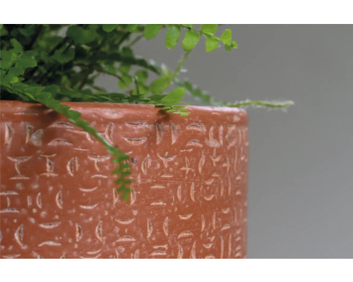 Nahaufnahme eines Pflanzgefäßes mit Muster