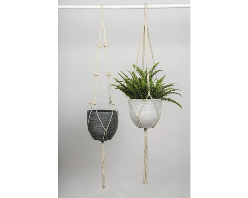 Zwei hängende Blumentöpfe mit Makramee-Halterung