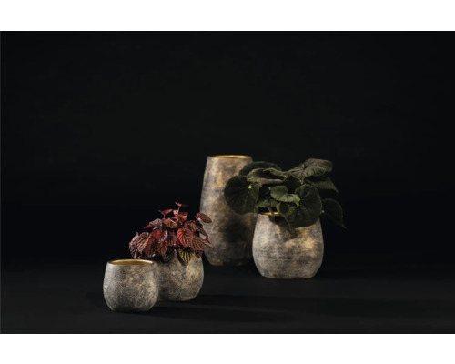 Vier Pflanzgefäße mit Pflanzen auf einem dunklen Untergrund