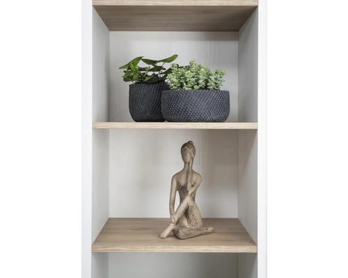 Dekoratives Regal mit Pflanzen in Töpfen und einer Frauenstatue