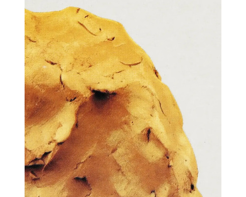 Nahaufnahme von Modellierton