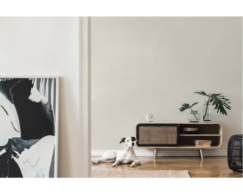 Heller Wohnraum mit Kommode, Dekoration und Hund