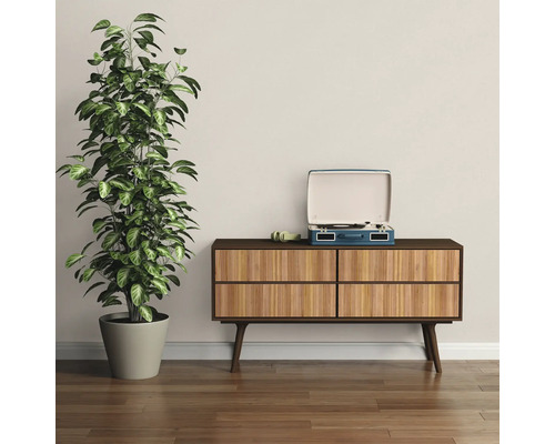 Szene mit Zimmerpflanze, Schallplattenspieler und Kommode im Raum