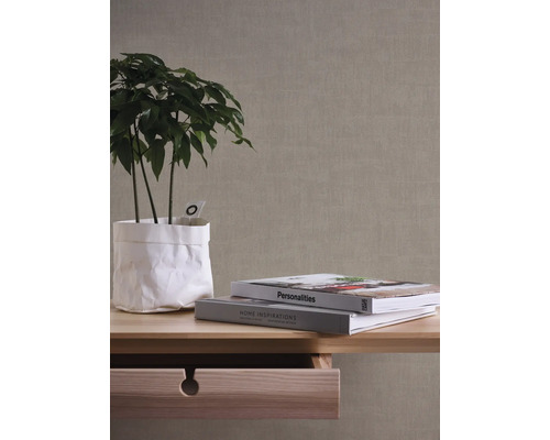 Dekorative Zimmerpflanze in Papiertüte neben Büchern auf einem Tisch mit Schublade