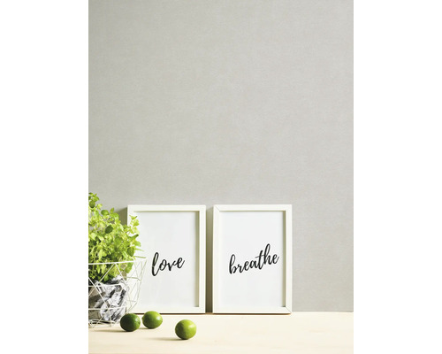 Dekorative Szene mit zwei gerahmten Kunstdrucken, Topfpflanze und Limetten