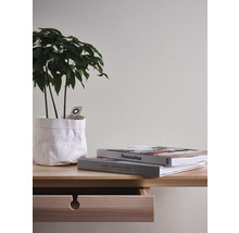 Dekoratives Zimmer mit Pflanze im Topf, Büchern und einem Holztisch mit offener Schublade.