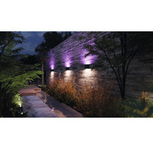 Beleuchteter Garten mit Mauer, Pflanzen und Gartenweg