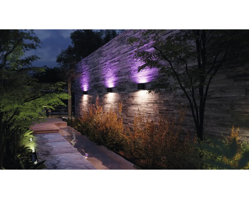 Beleuchteter Garten mit Mauer, Pflanzen und Gartenweg