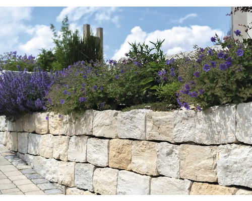 Natursteinmauer mit Bepflanzung im Garten