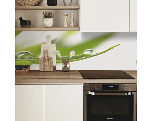 Küchenrückwand mit Pflanzenmotiv und Wassertropfen in einer modernen Küche.